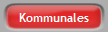 Kommunales